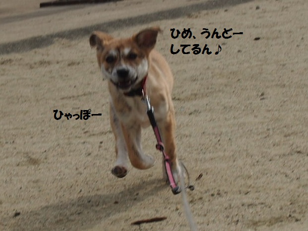f0253473_8505822.jpg