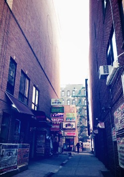 f0056476_13154628.jpg