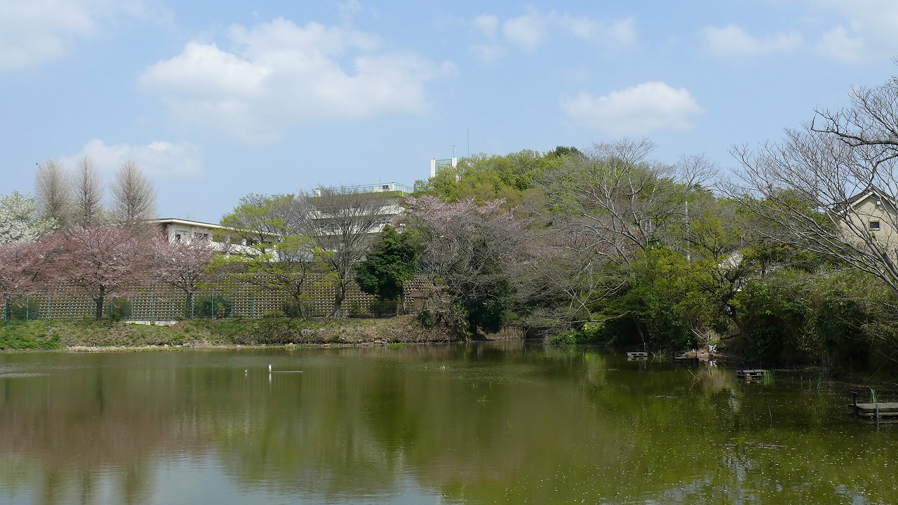 a0185081_16431913.jpg