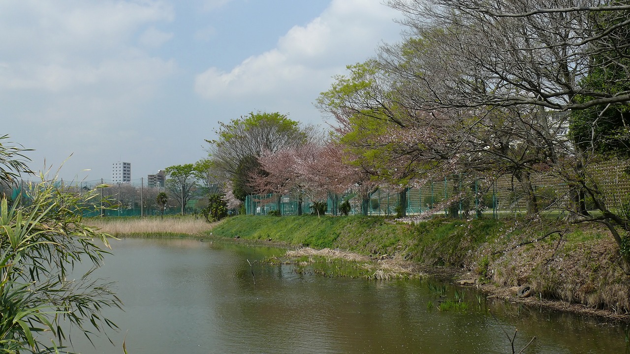 a0185081_16432980.jpg