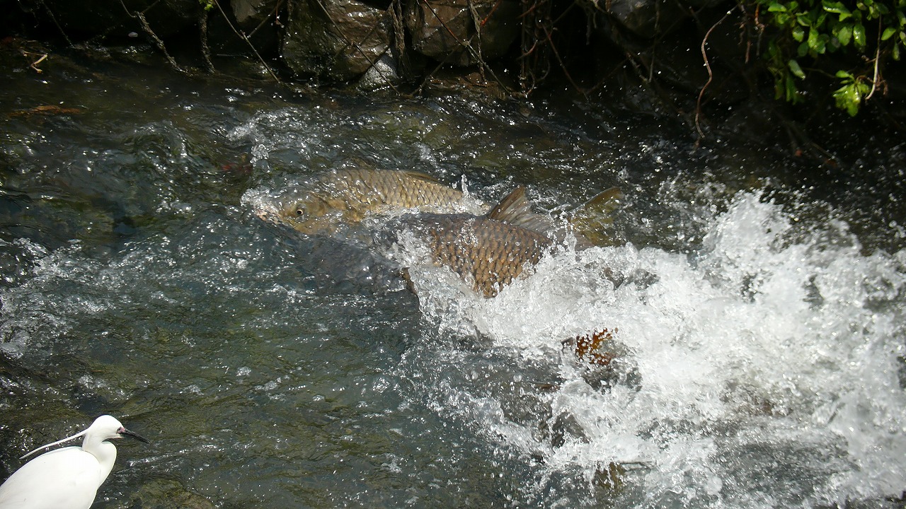a0185081_16456100.jpg