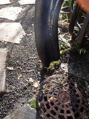 e0008883_811223.jpg