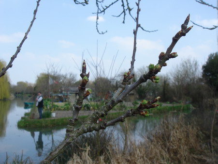 a0247585_042989.jpg