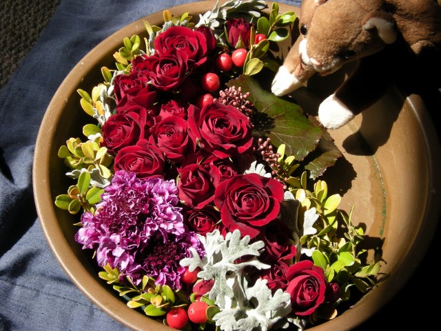 f0063887_1143564.jpg