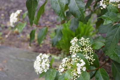 b0283192_12114114.jpg