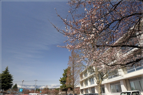b0151893_2218530.jpg