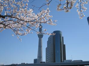 e0147297_1658211.jpg
