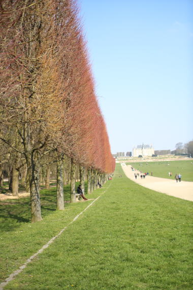 c0090198_2485433.jpg