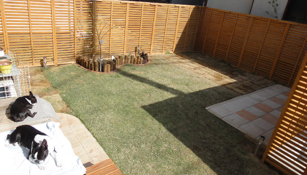 c0094999_10124586.jpg