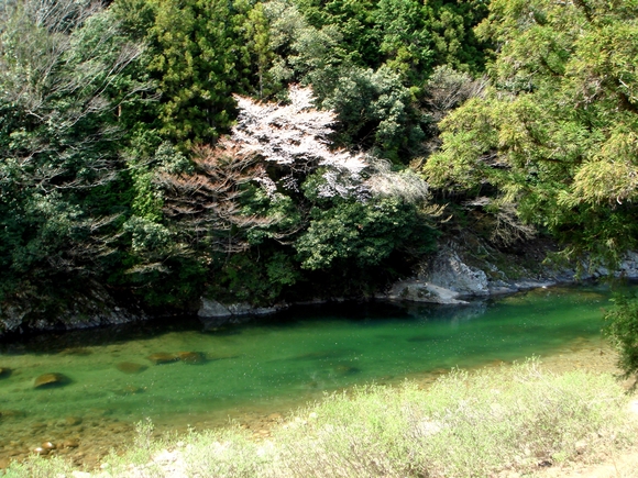 f0266202_20365878.jpg