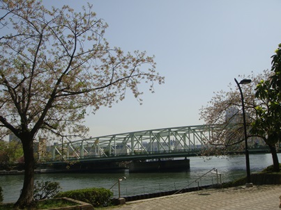 a0167803_1516778.jpg