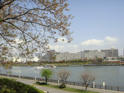 a0167803_15171475.jpg