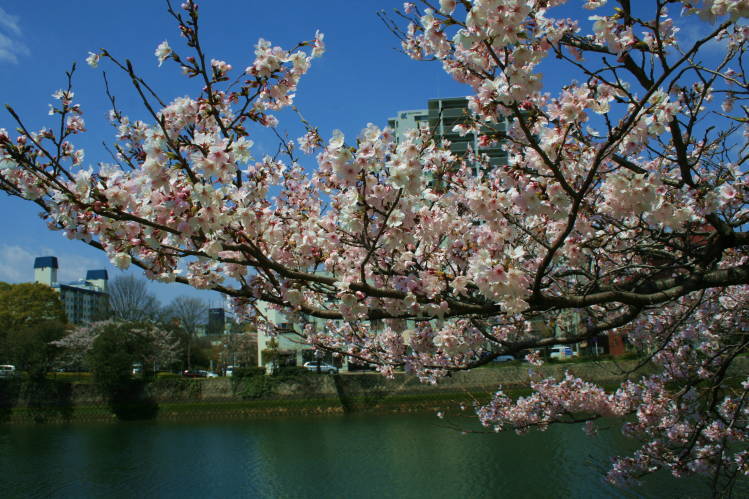 f0031304_7445655.jpg