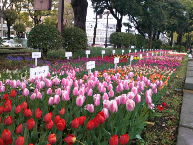 c0122007_824232.jpg