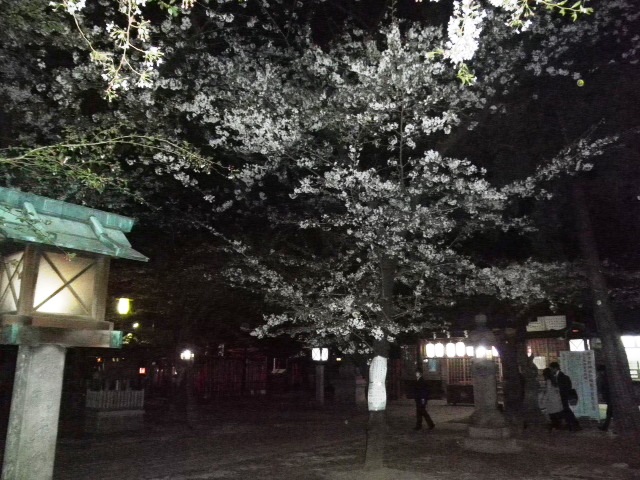 c0152507_4514310.jpg