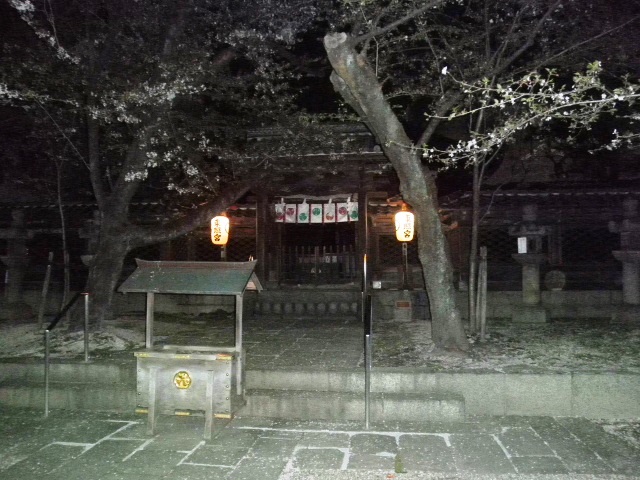 c0152507_453190.jpg