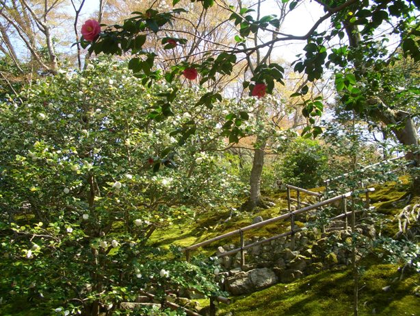 e0033713_1632847.jpg