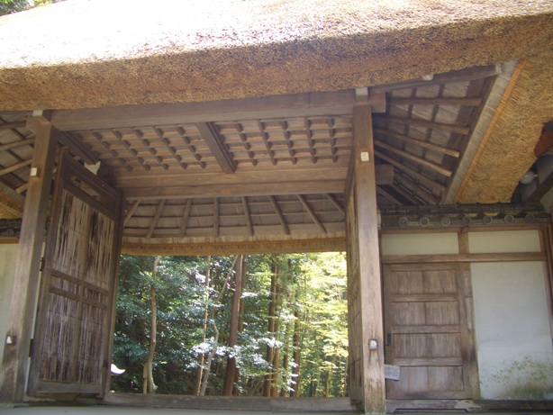 e0033713_1712184.jpg
