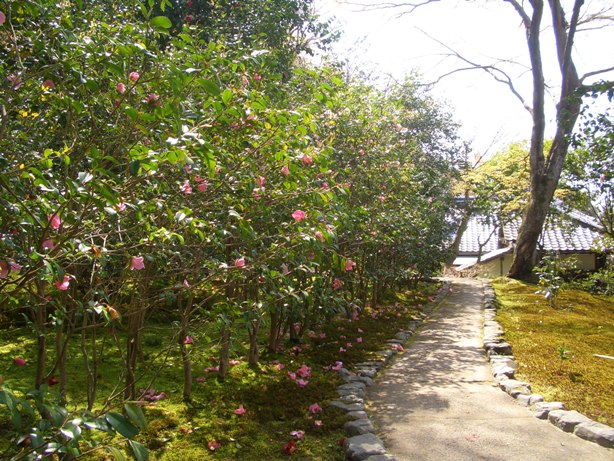 e0033713_178735.jpg