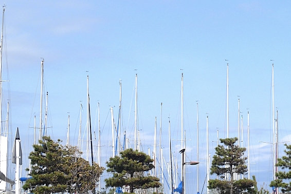 e0157816_1004419.jpg