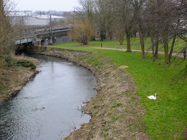 f0056516_216574.jpg