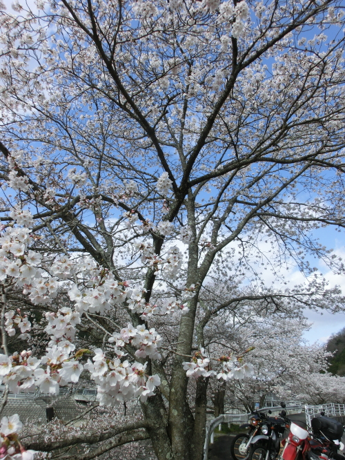f0248120_1964510.jpg