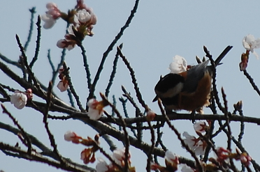 f0248120_1971421.jpg