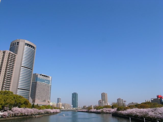 f0209122_11215933.jpg