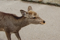 d0006323_11365832.jpg