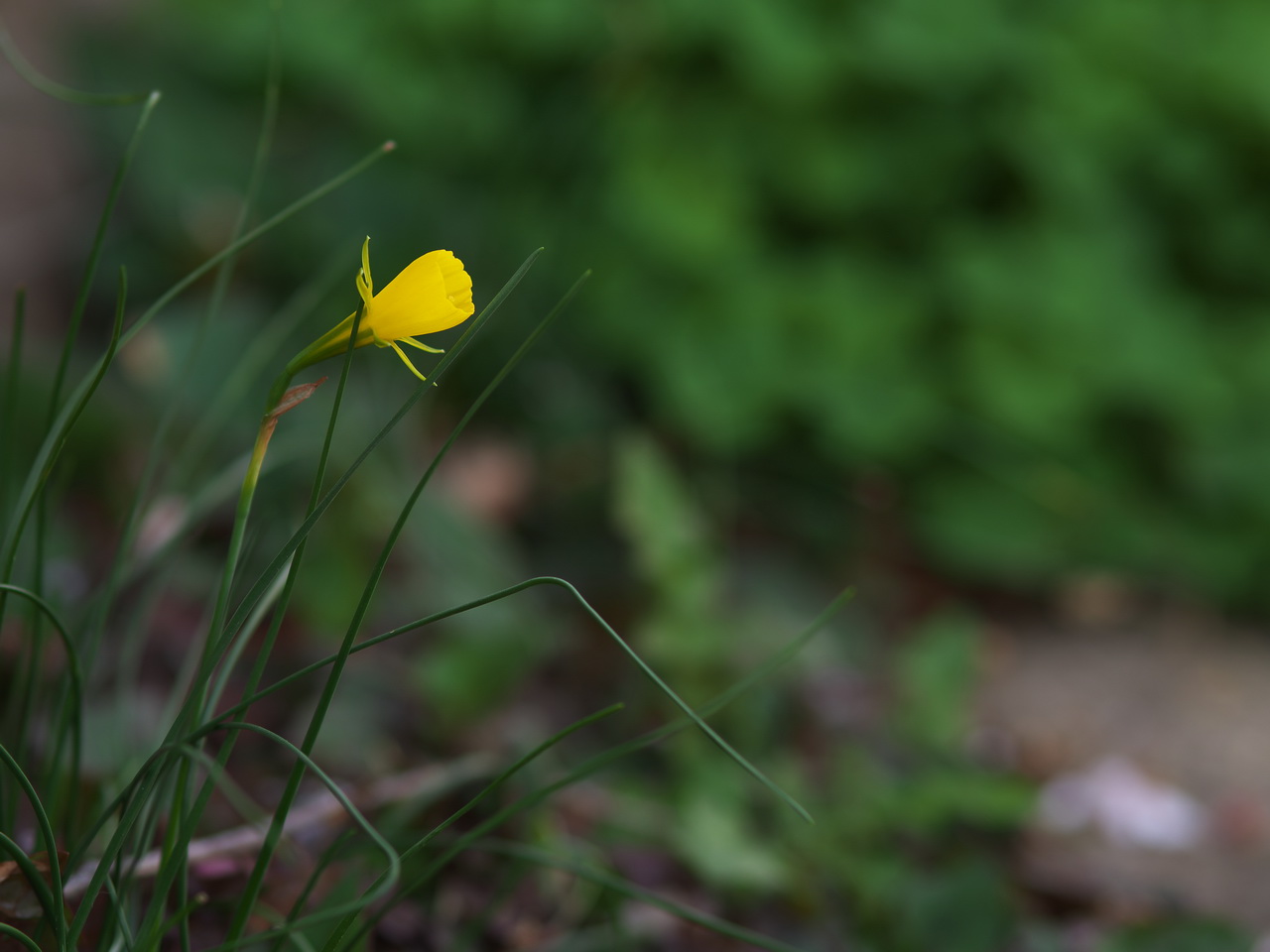 b0093625_1215363.jpg