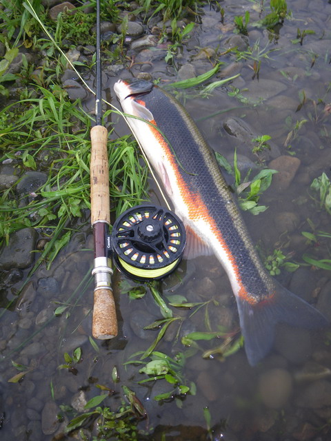 c0202727_1350456.jpg