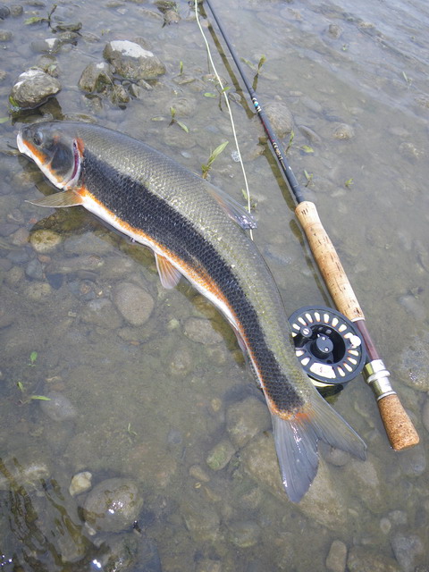 c0202727_13521771.jpg