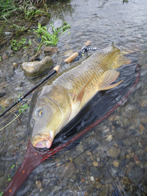 c0202727_13563441.jpg