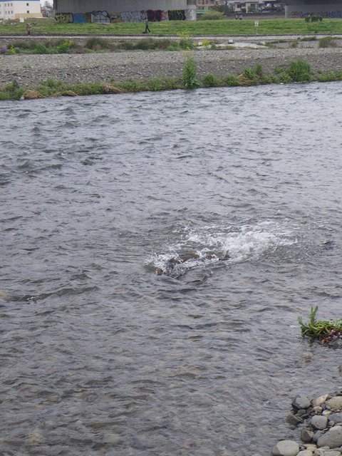 c0202727_1414214.jpg