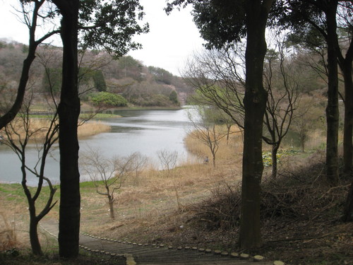 b0211028_15443980.jpg