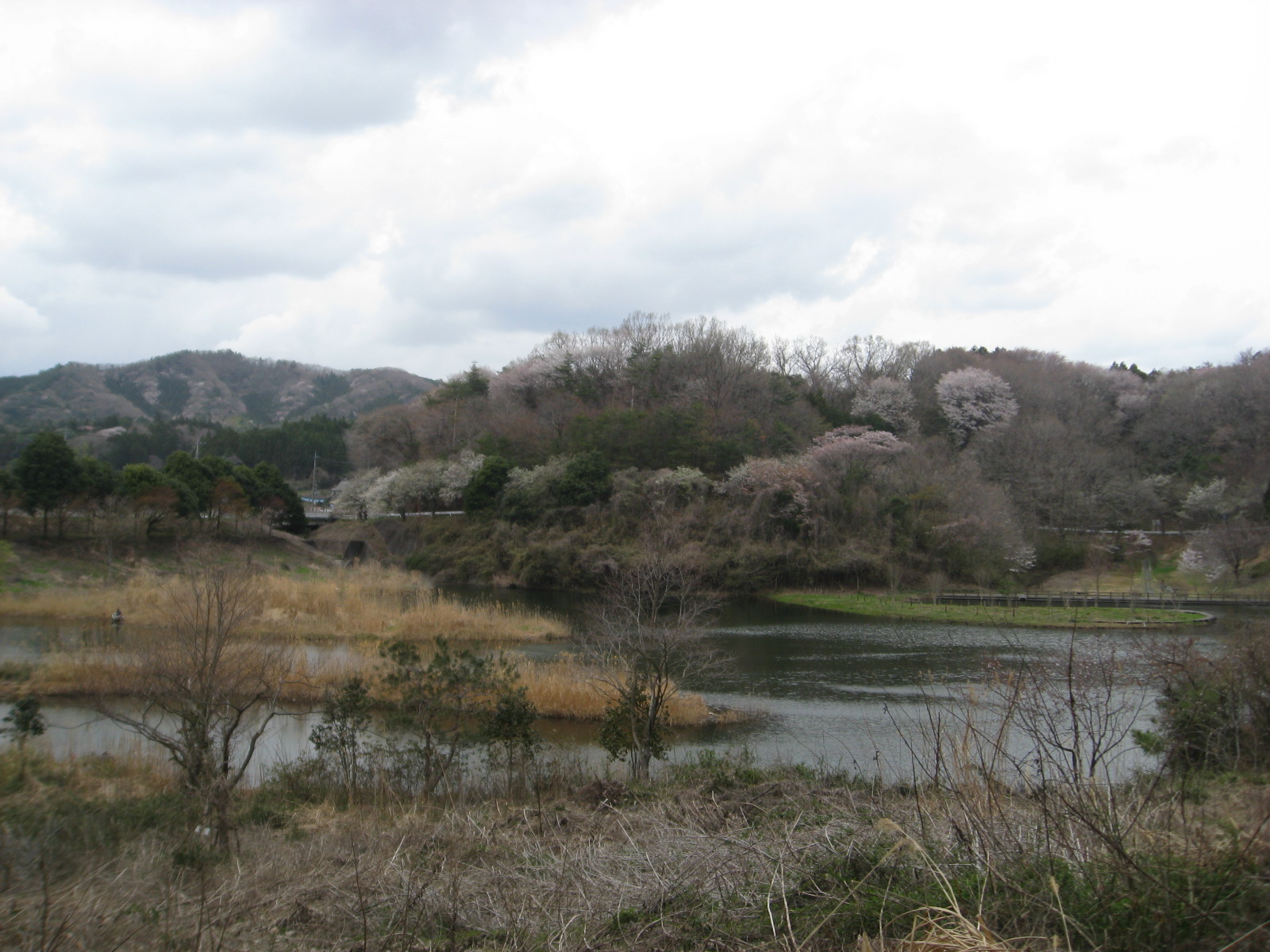 b0211028_1545353.jpg