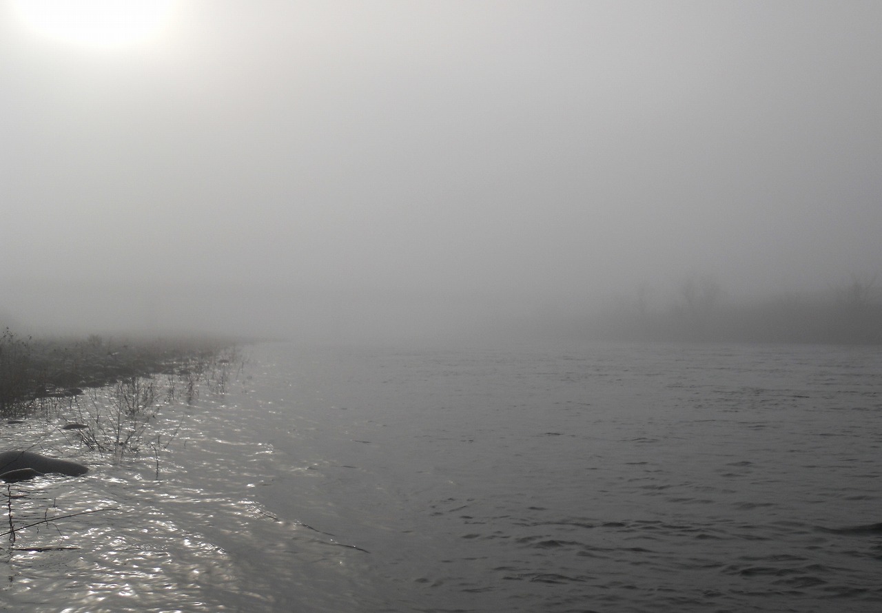 e0198128_15411316.jpg