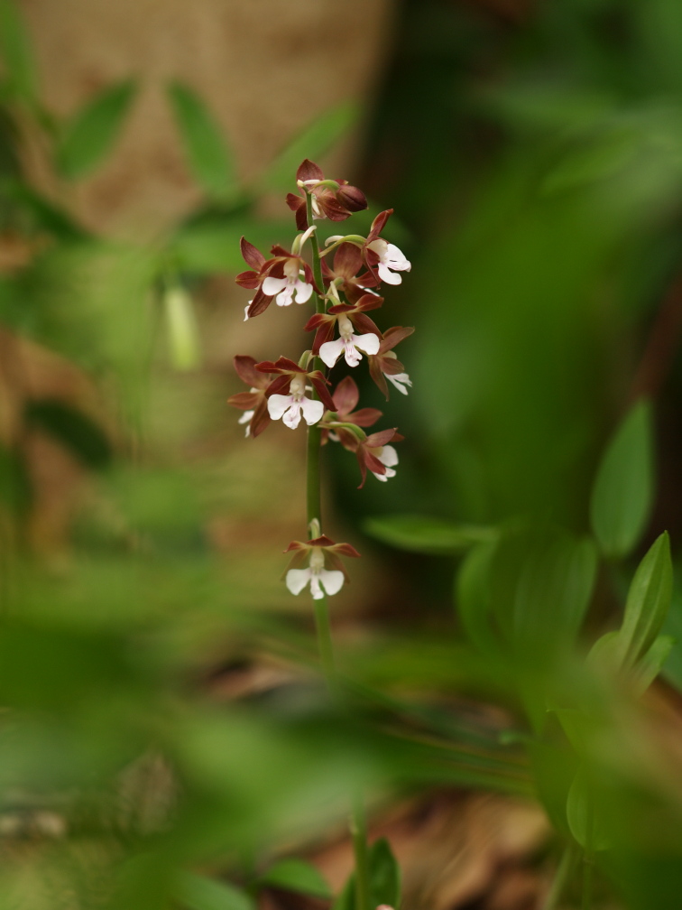 b0201233_18244345.jpg
