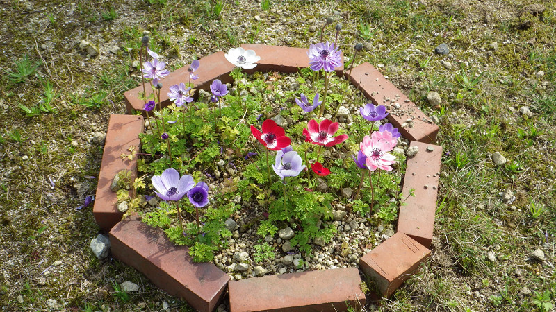 e0305733_882475.jpg