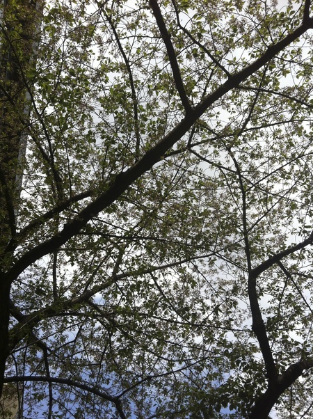 d0013834_23402957.jpg