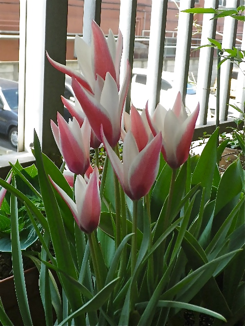 b0027736_072654.jpg