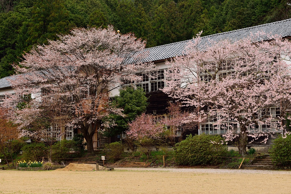f0274536_1759914.jpg