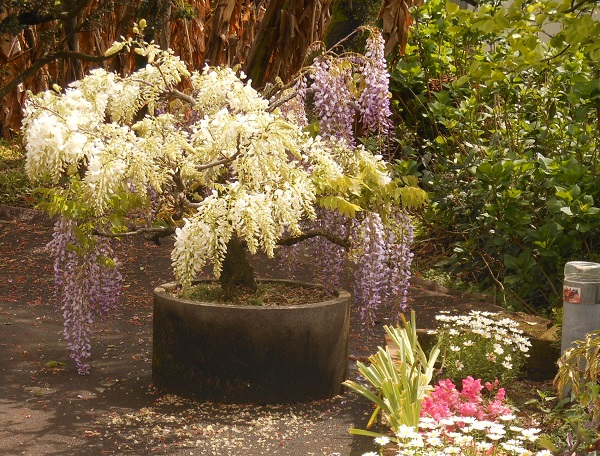 f0042737_11292558.jpg