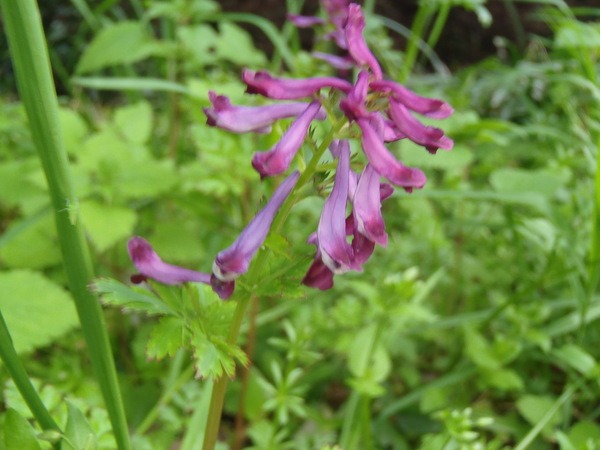 a0054240_050090.jpg