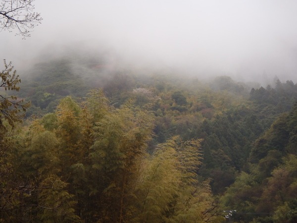 a0054240_23305326.jpg