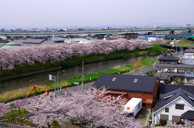 d0186245_2221593.jpg