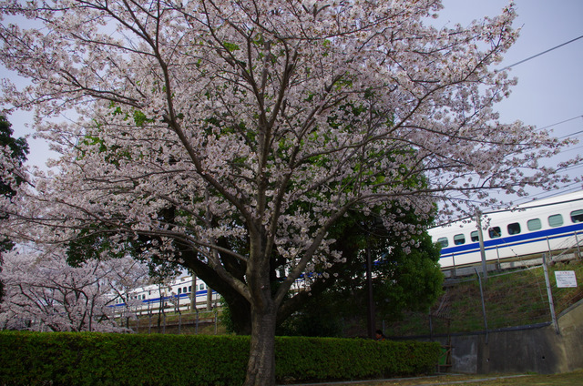d0186245_242246.jpg