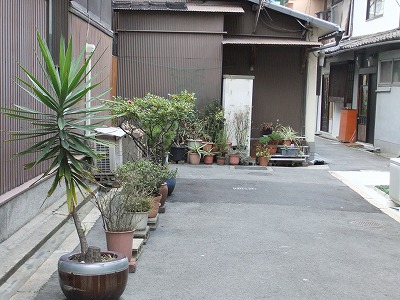 e0173645_9424935.jpg