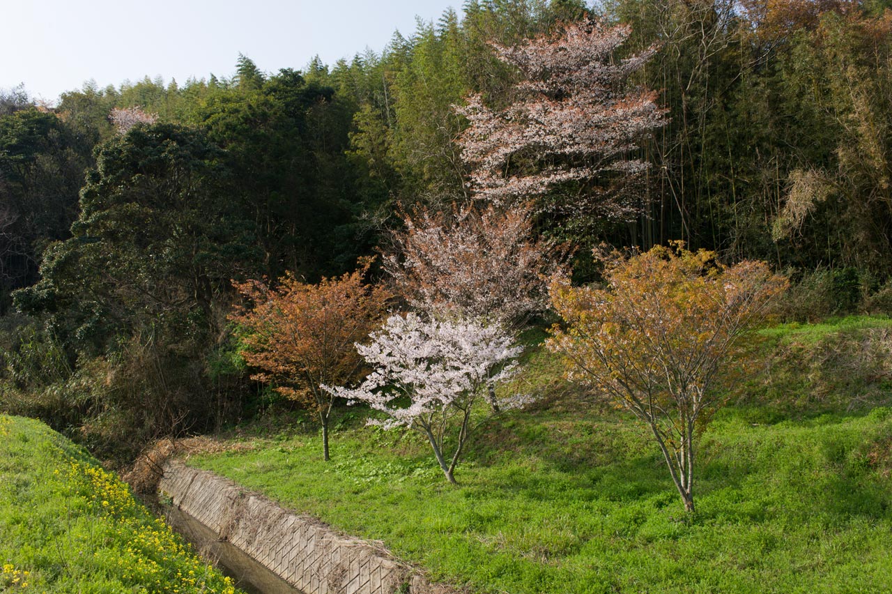 b0023047_3464372.jpg