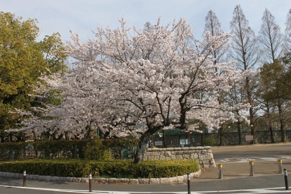 b0249247_0405432.jpg
